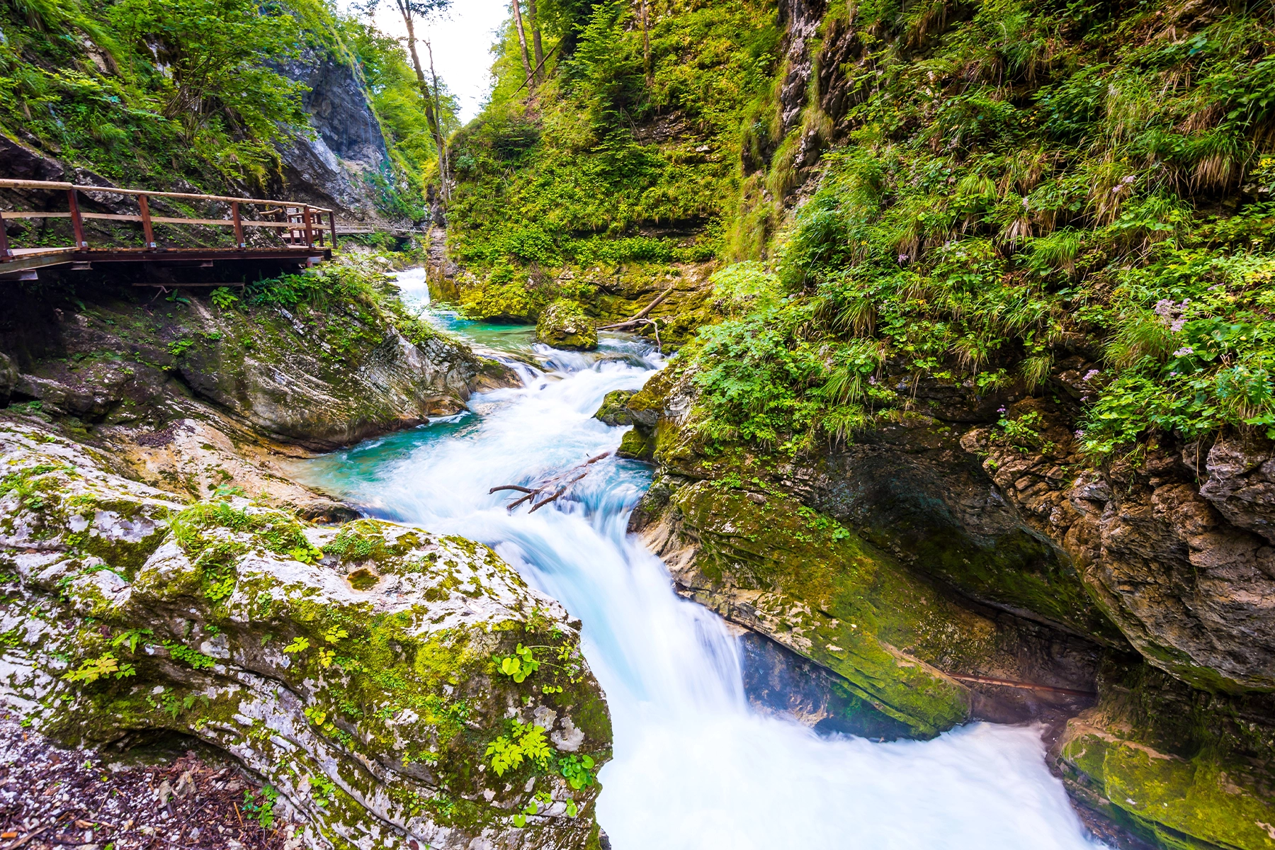 Wandelen door de Vintgar Gorge in Slovenie