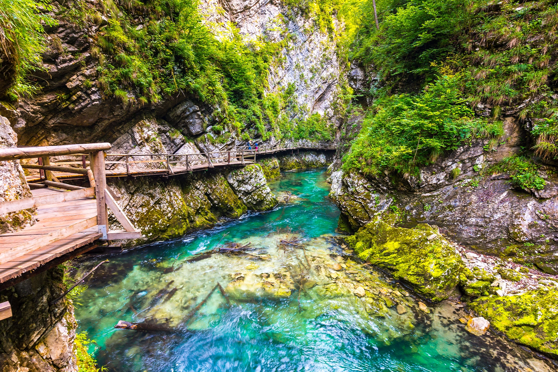 De Vintgar kloof bezoeken in Slovenië